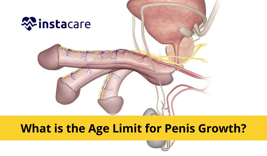 Picture of What Is The Normal Age Limit For Penis Growth