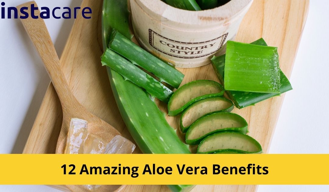 Picture of 12 Amazing Aloe Vera Benefits You Must Know About