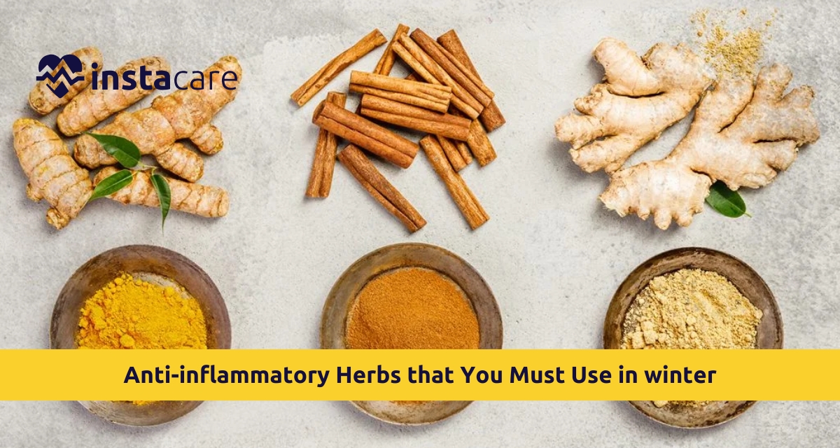 Picture of Which are the Best Anti-inflammatory Herbs that You Must Use in winter