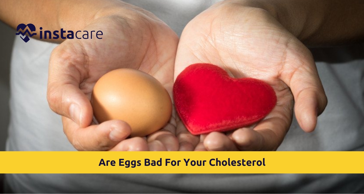 Picture of Are Eggs Bad For Your Cholesterol