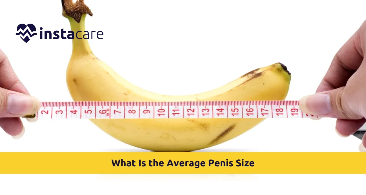 Picture of What Is the Average Penis Size 