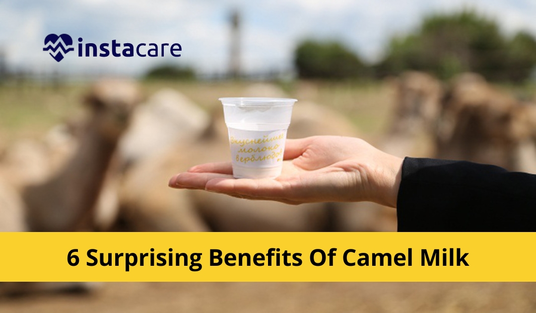 Picture of 6 Surprising Benefits Of Camel Milk