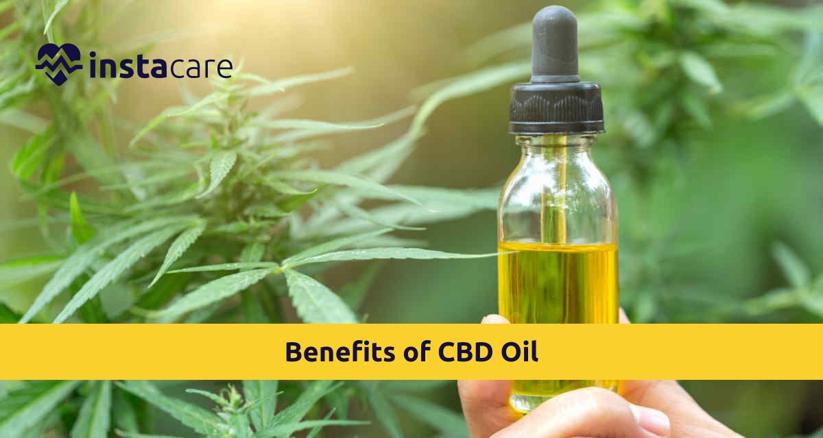 Picture of Benefits of CBD Oil What Does Science Say