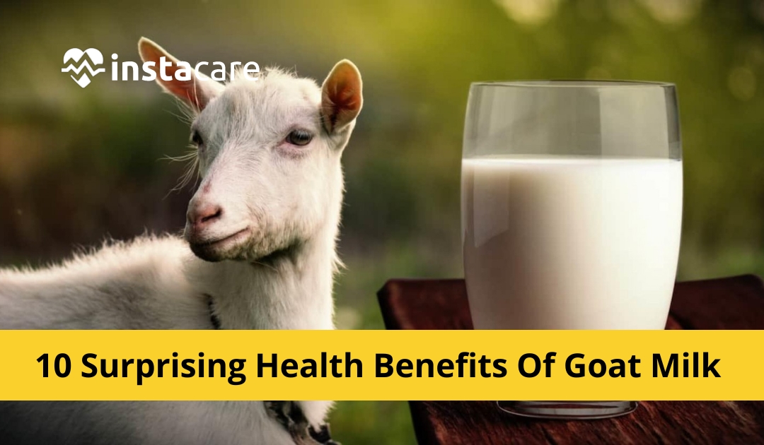 Picture of 10 Surprising Health Benefits Of Goat Milk