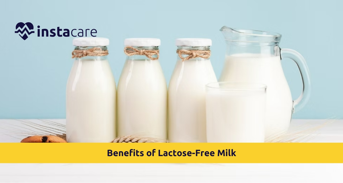 Picture of 7 Surprising Benefits of Lactose-Free Milk You Should Know