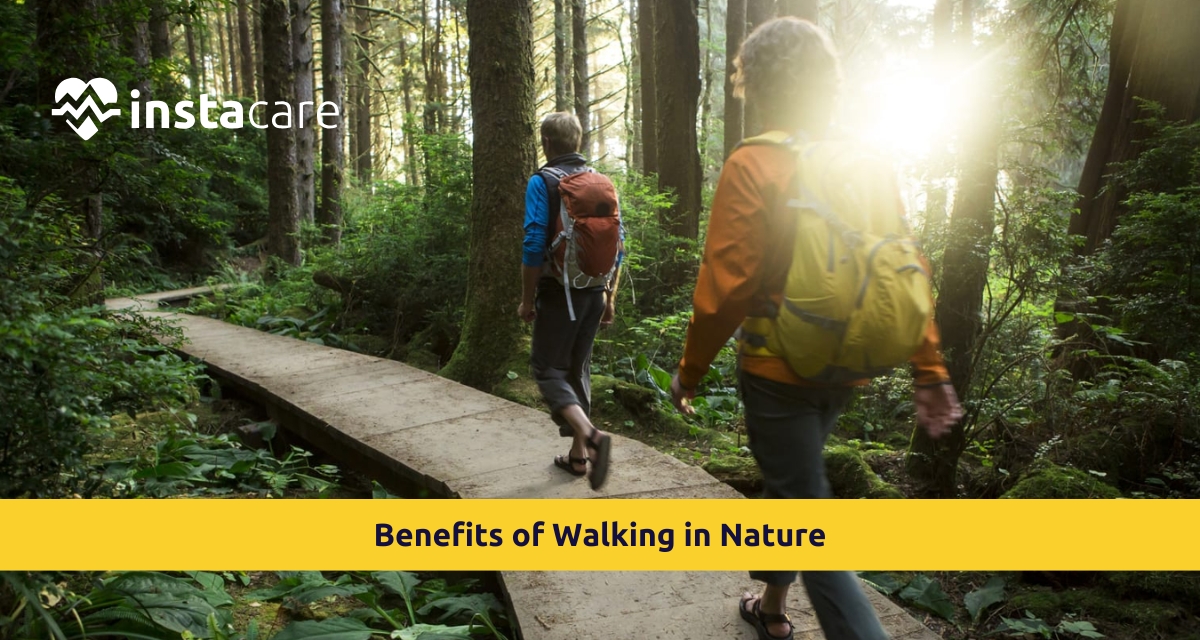 Picture of Benefits of Walking in Nature