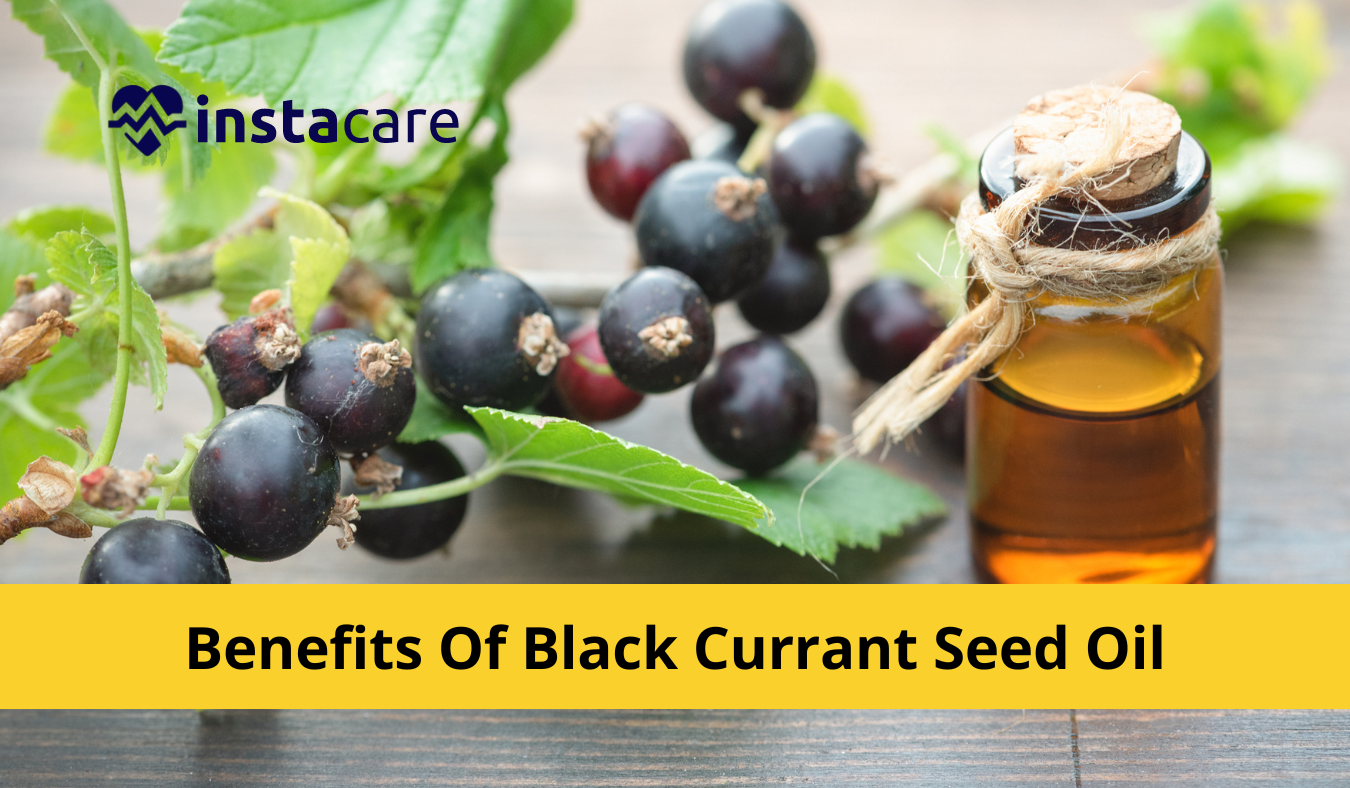 Picture of 12 Amazing Health Benefits Of Black Currant Seed Oil