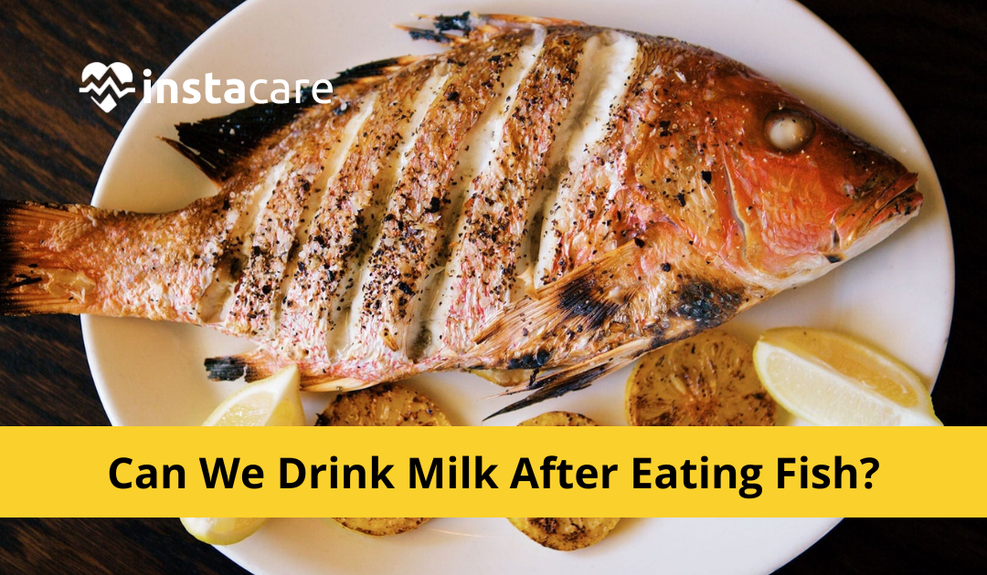 Can We Drink Milk After Eating Fish?