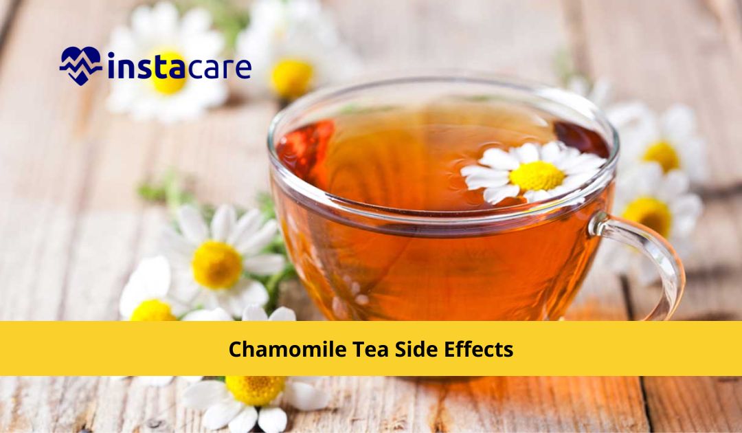 Picture of Chamomile Tea Side Effects Benefits and Uses