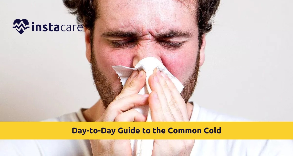 Picture of Day-to-Day Guide to the Common Cold