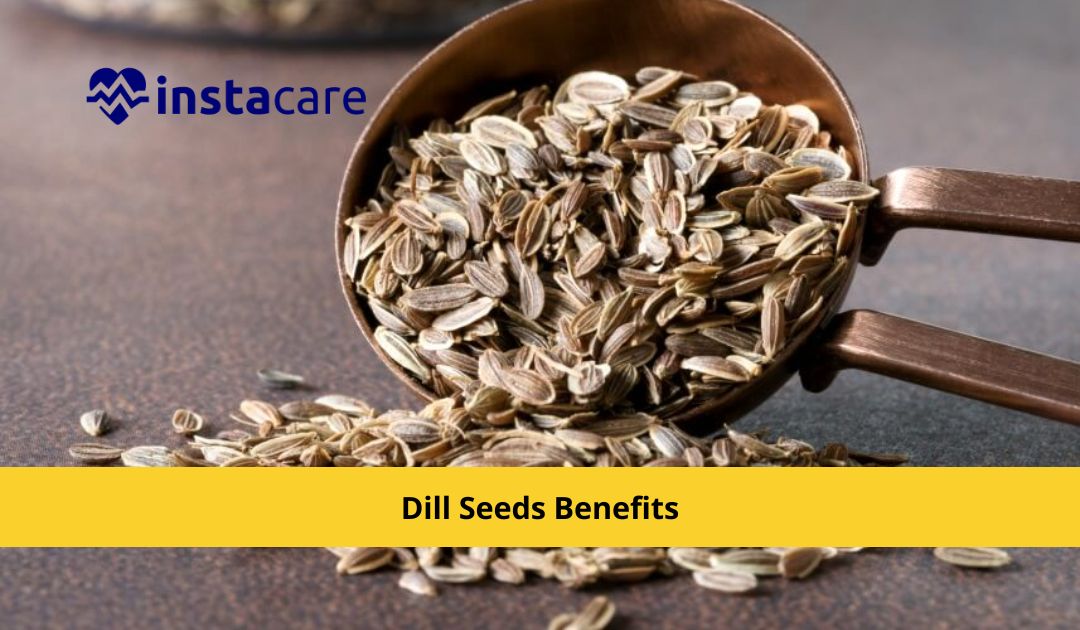 Dill Seeds Benefits for Weight Loss