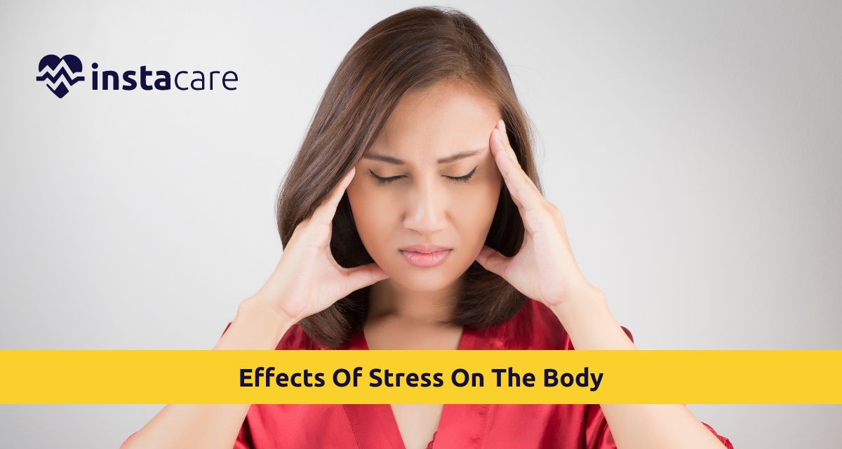 Picture of Understanding The Effects Of Stress On The Body From Your Brain To Your Stomach