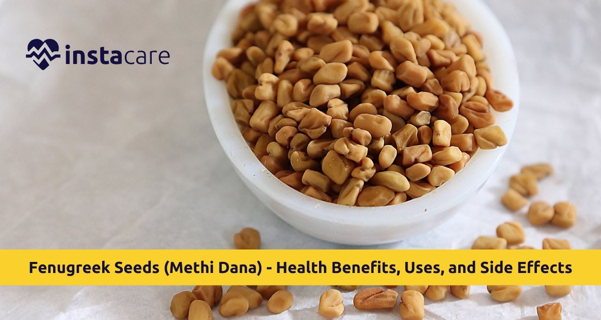 Picture of Fenugreek Seeds Methi Dana - Health Benefits Uses and Side Effects