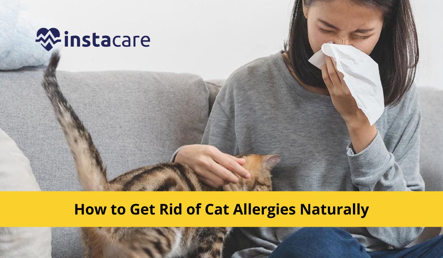 Picture of How to Get Rid of Cat Allergies Naturally