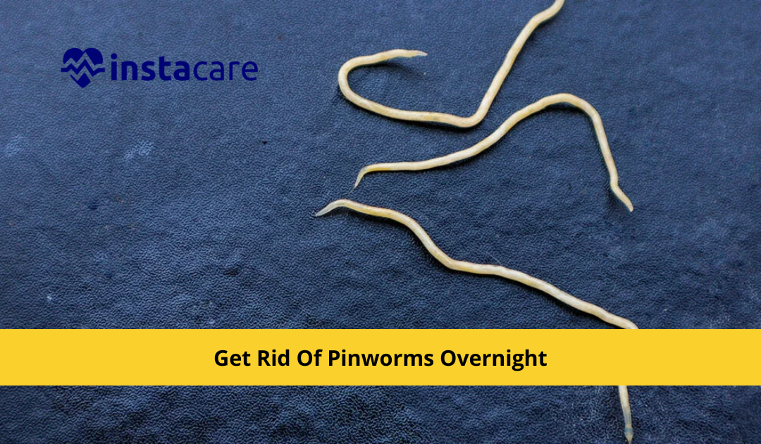 How To Get Rid Of Pinworms Overnight