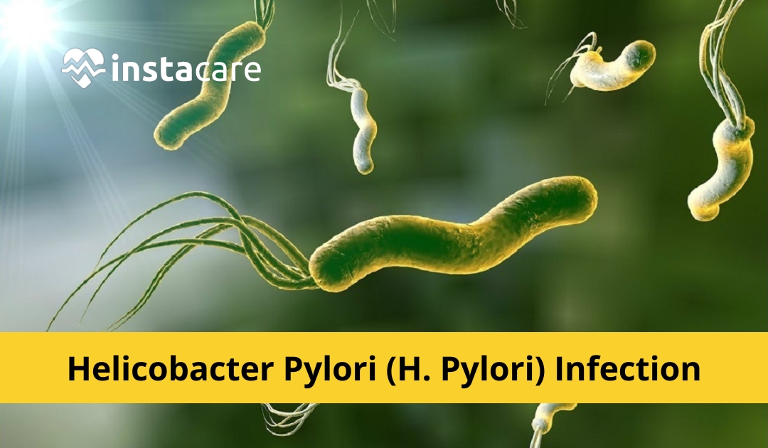 Picture of Helicobacter Pylori Infection - Symptoms Causes And Treatment