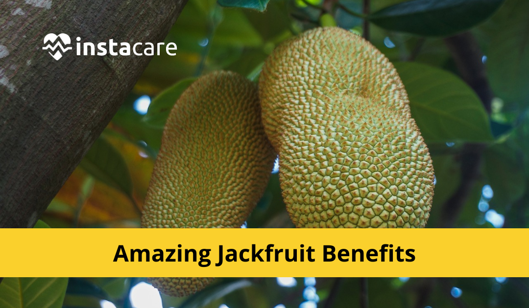 10 Amazing Health Benefits Of Jackfruit You Must Know About