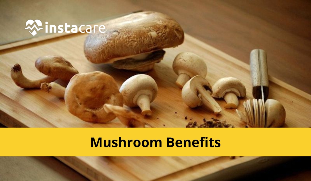 Picture of 7 Amazing Health Benefits Of Mushrooms