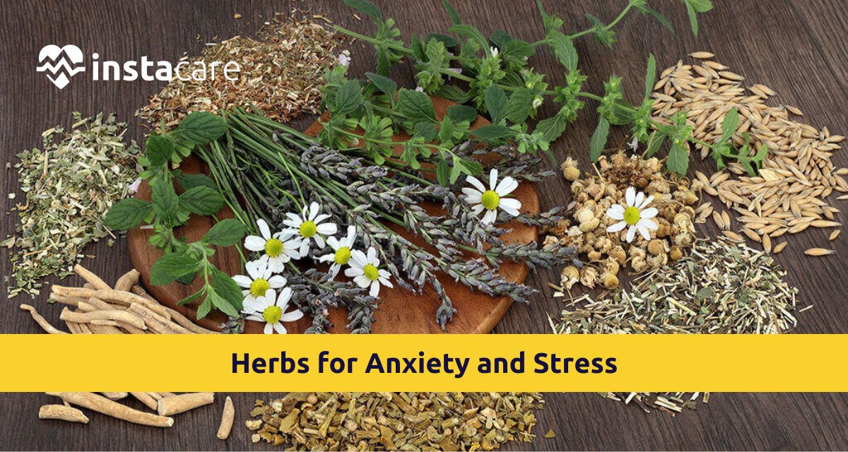 Picture of How to Use Herbs for Anxiety and Stress