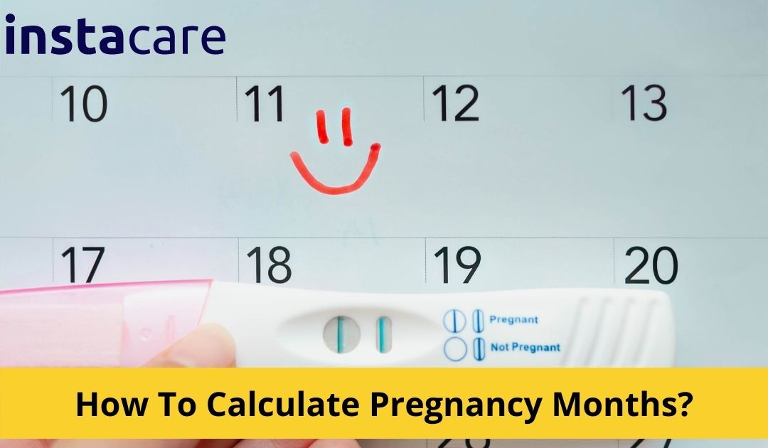 Picture of How To Calculate Pregnancy Months