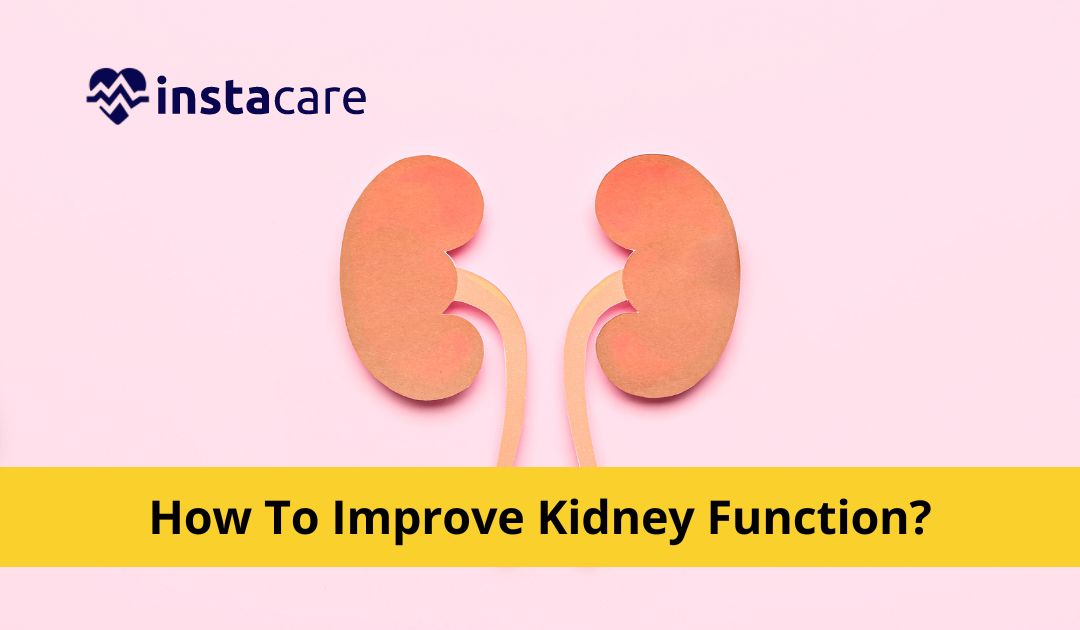 Renewing Kidney Health: Effective Ways