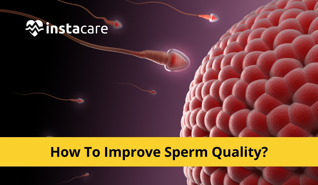 How To Improve Sperm Quality 10 Ways To Boost Male Fertility 