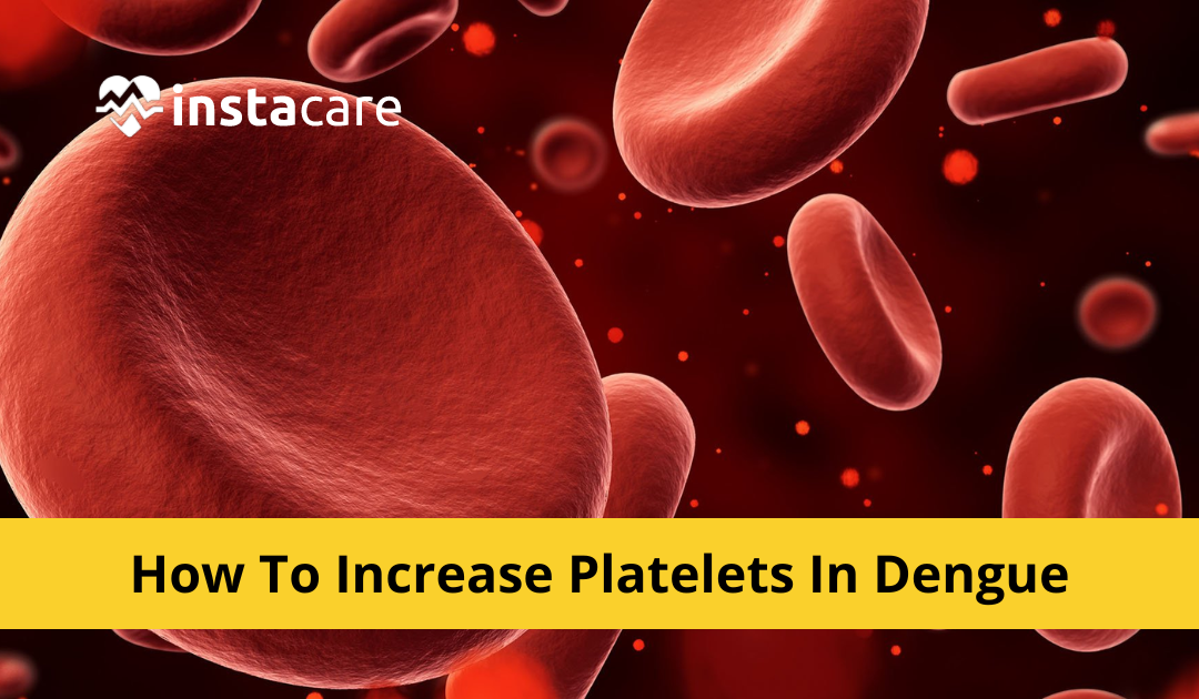 Picture of How to Increase Platelets in Dengue