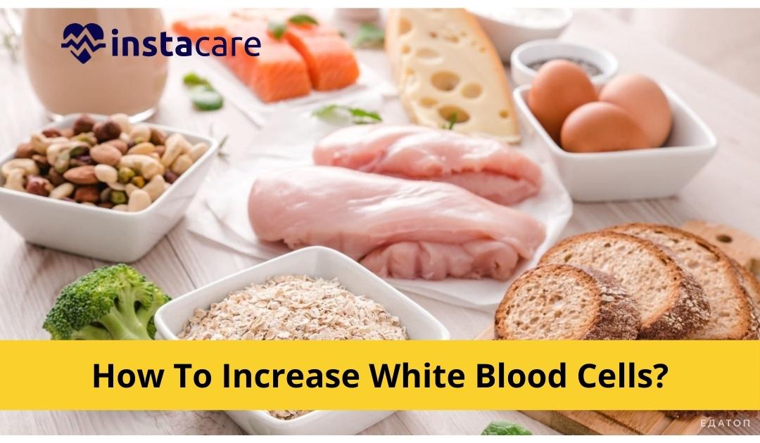 Picture of  How to Increase White Blood Cells