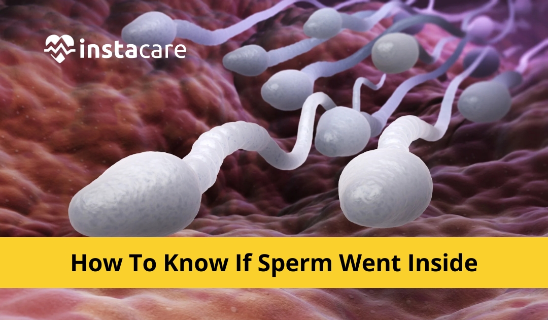 Picture of How To Know If Sperm Went Inside