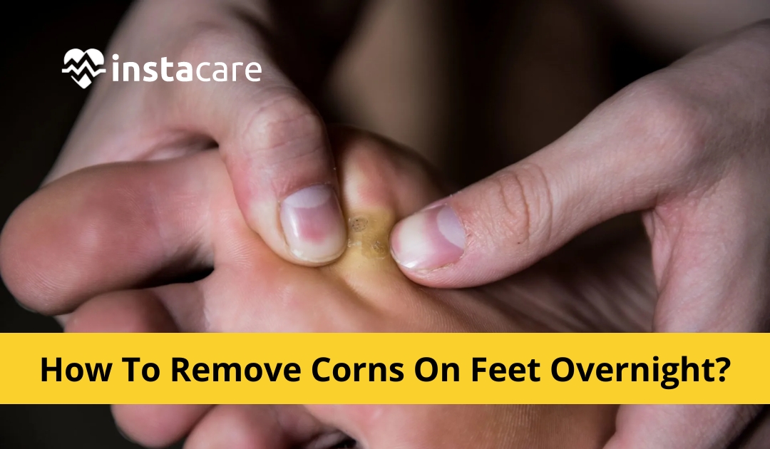 corn root foot