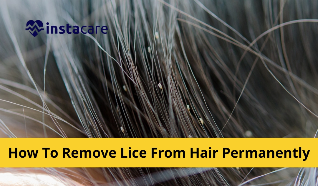 5 Effective Tips To Remove Lice From Hair Permanently At Home