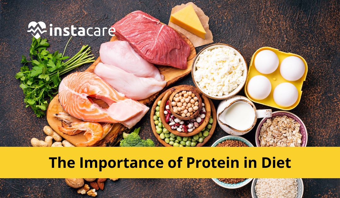 Picture of The Importance of Protein in Diet