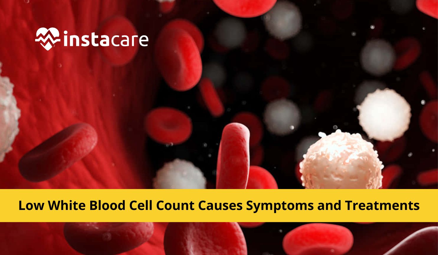 Leukopenia Low White Blood Cell Count Causes Symptoms And Treatments