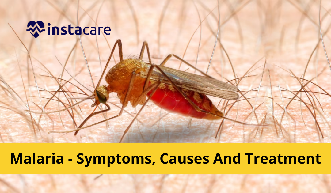 Picture of Malaria Causes Symptoms And Treatment