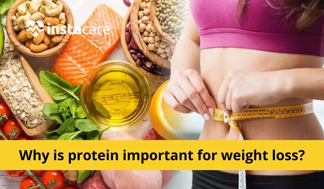 Picture of Why is protein important for weight loss