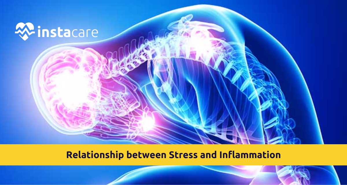 Picture of The Relationship between Stress and Inflammation