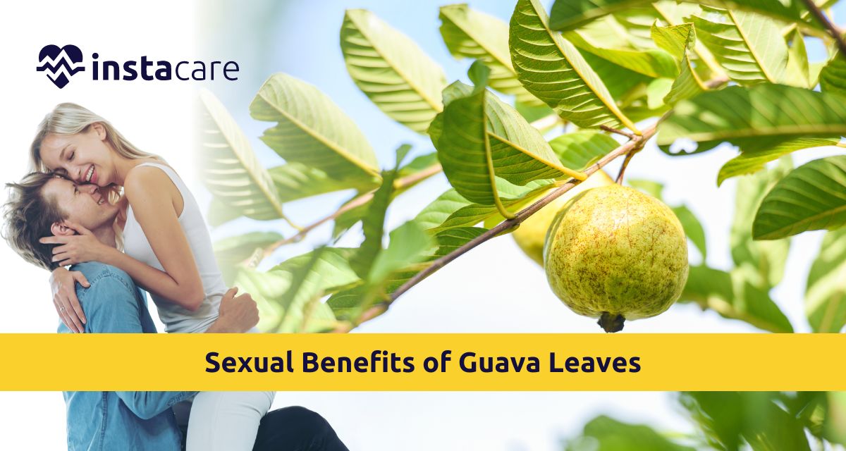 Picture of 7 Sexual Benefits of Guava Leaves Explored This Year
