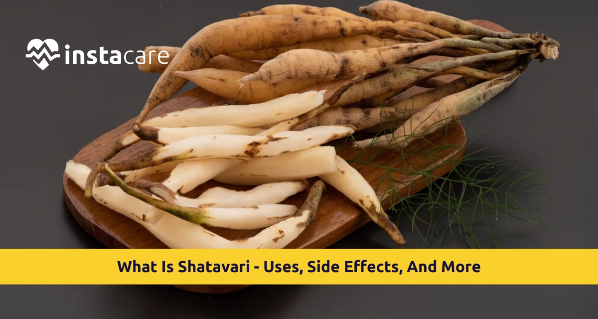 Picture of What Is Shatavari - Uses Side Effects And More