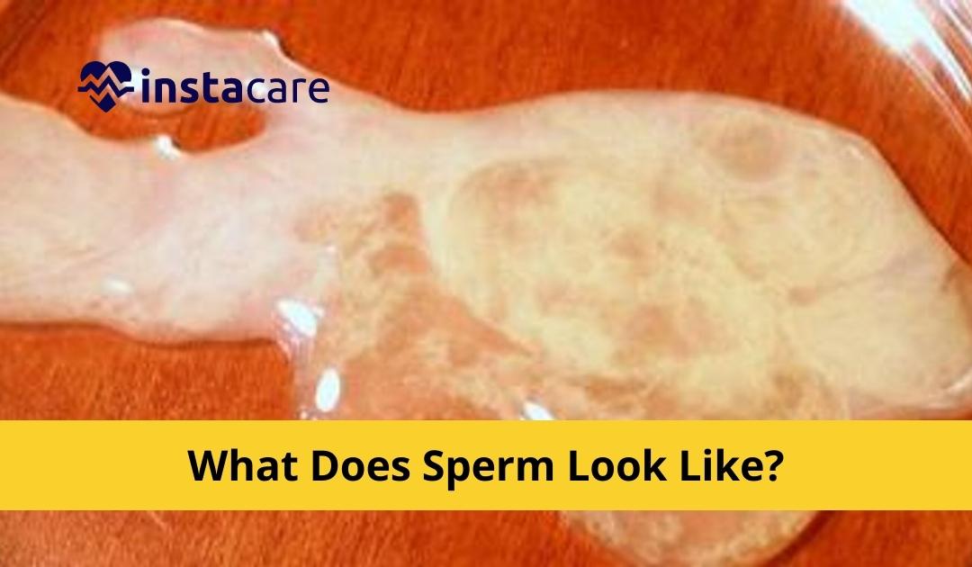What does healthy male sperm look like?