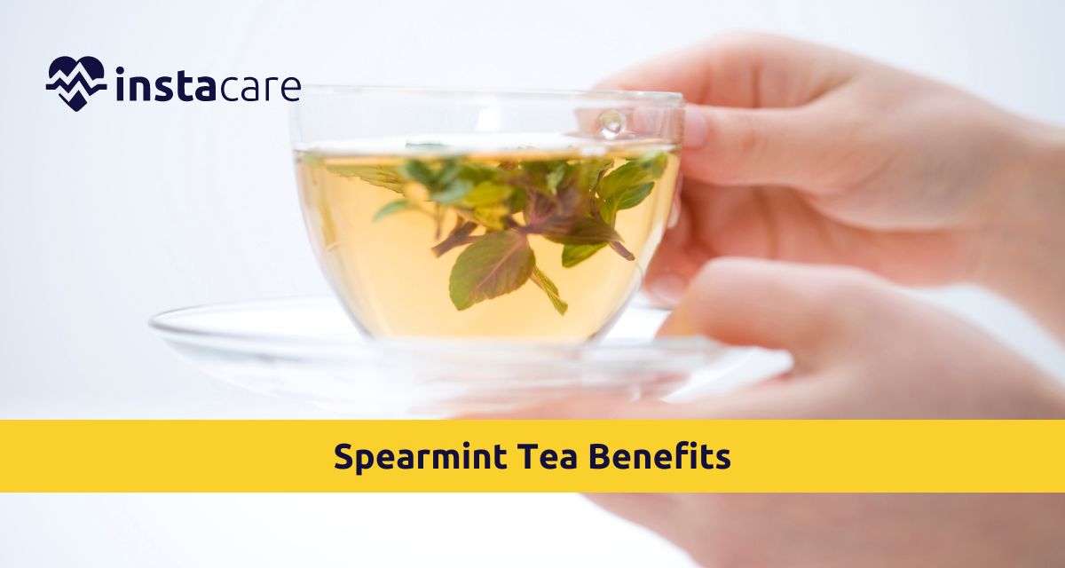 Picture of Understand Here All About Spearmint Tea Benefits