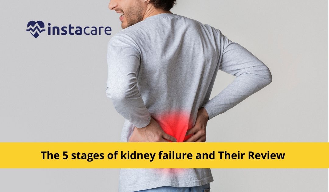 Picture of The 5 stages of kidney failure and Their Review