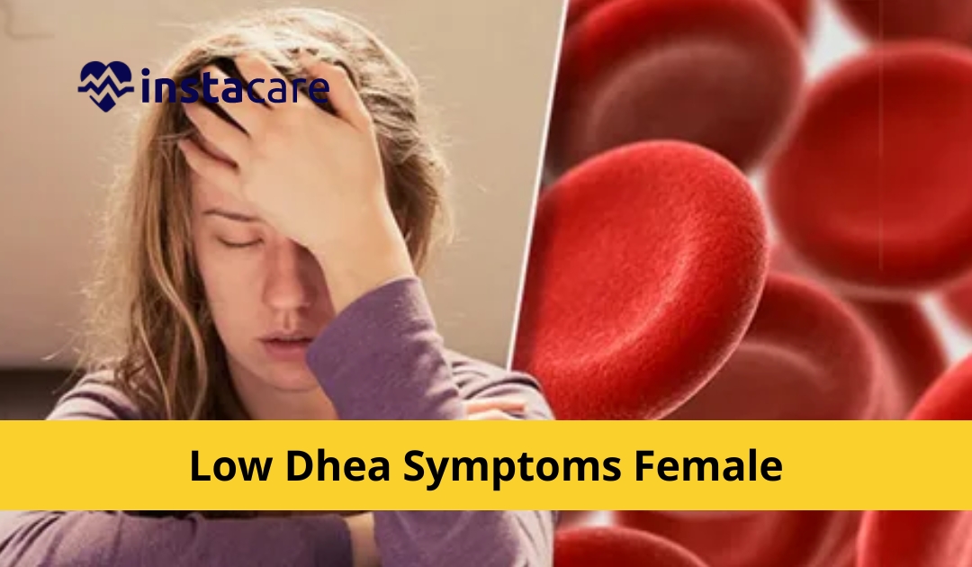 8 Symptoms of Low DHEA Levels In Female All You Need To Know