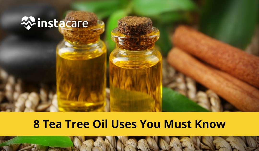 Picture of Top 8 Tea Tree Oil Uses You Must Know In 2023