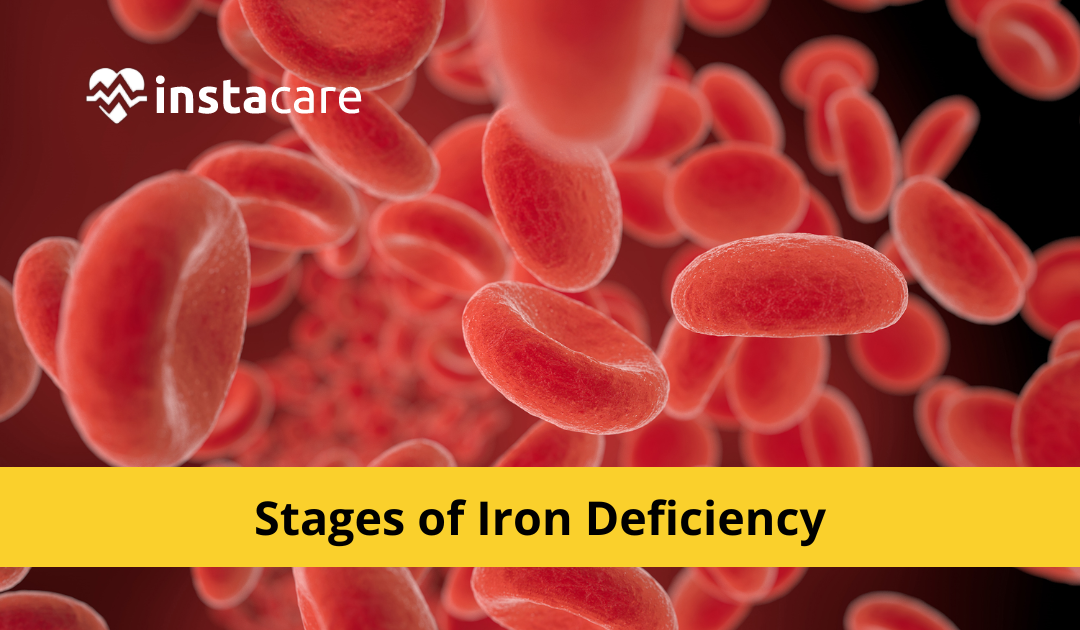 Picture of What Are The Three Essential Stages Of Iron Deficiency