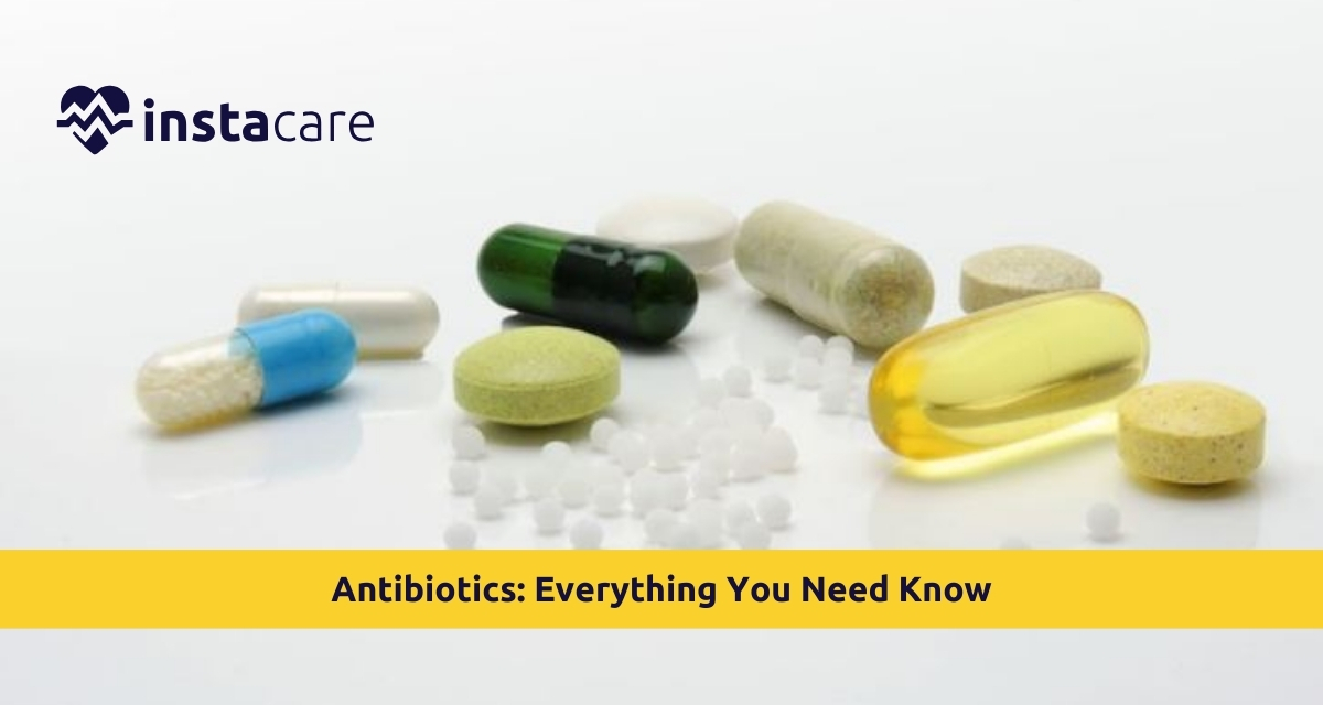 Picture of Antibiotics Everything You Need Know