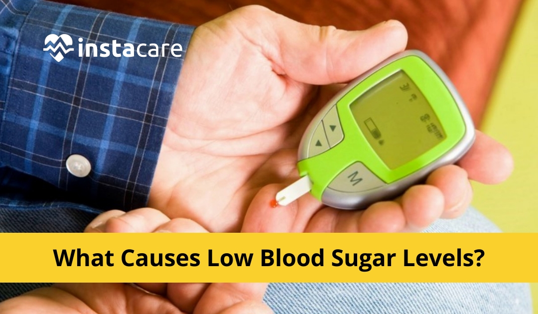 Picture of What Causes Low Blood Sugar Levels