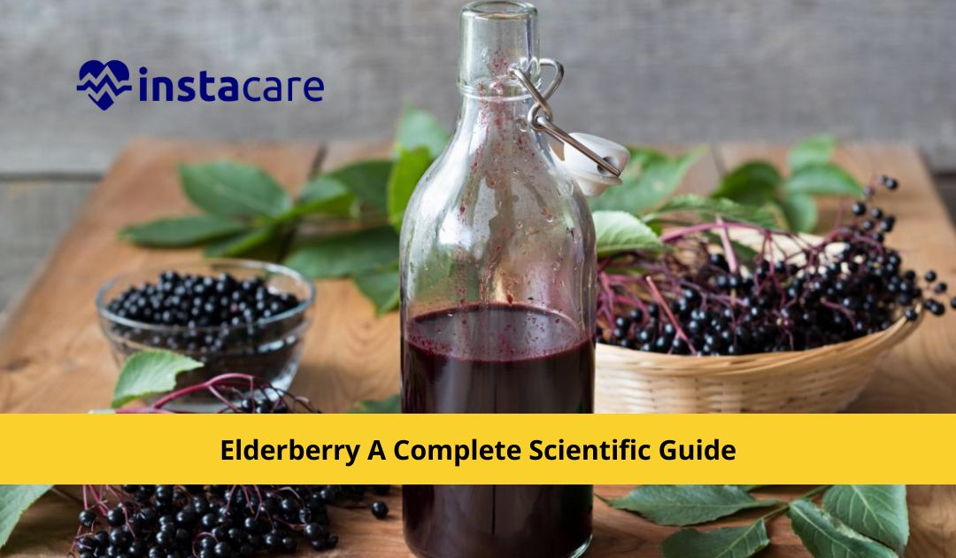 Picture of What Is Elderberry A Complete Scientific Guide