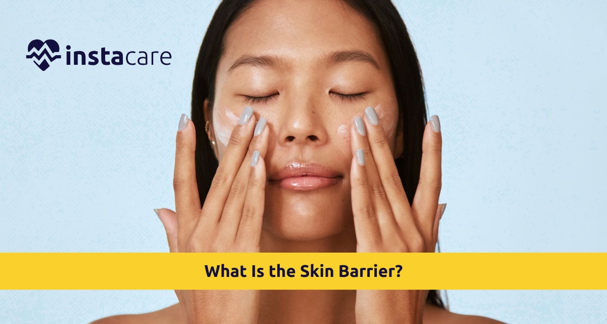 Picture of What Is the Skin Barrier