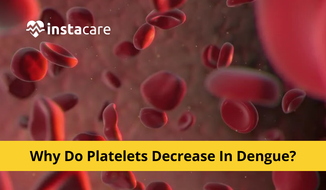 Picture of Top 3 Reasons Why Do Platelets Decrease In Dengue